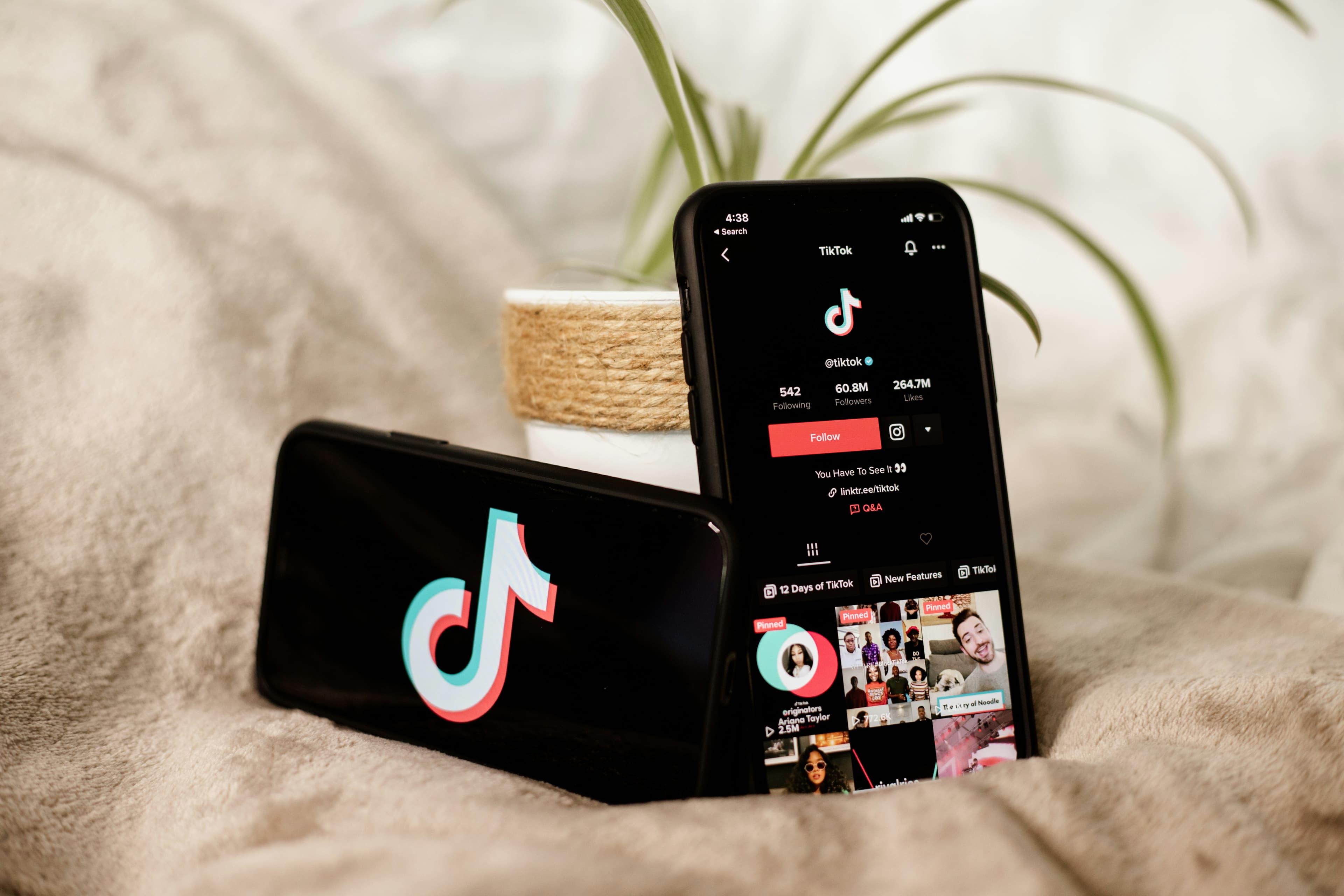 Social Media Growth